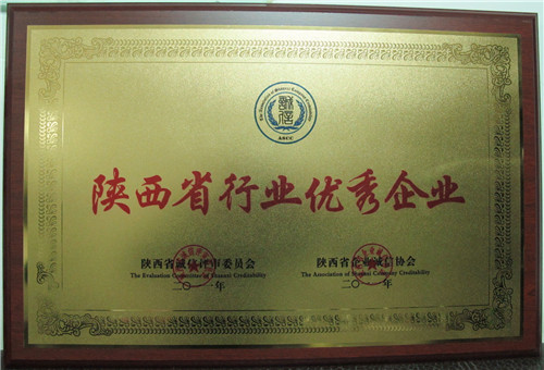 陜西輕重鋼結(jié)構廠——陜西省行業(yè)優(yōu)秀企業(yè)